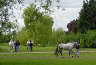 Preparing for the horse show at Windsor's home park