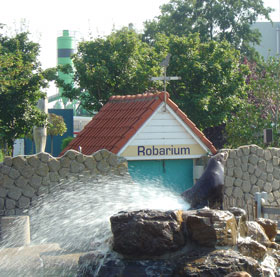 A playful sealion with his soak-the-audience trick