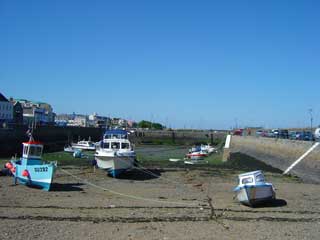 We were one of the larger boats taking advantage of the drying facility of the Careening Hard