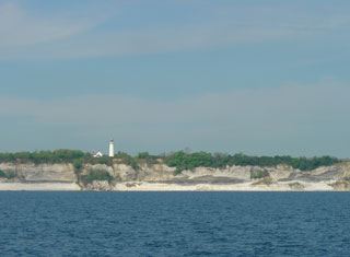 The chalk cliffs of Stevns Klint