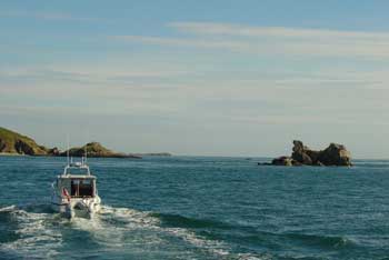 Honeychile leads us through the rocky passage up Herm's east coast