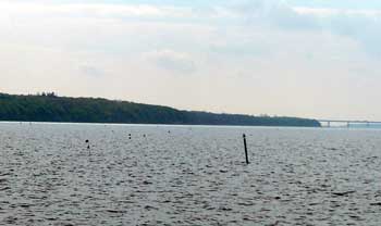Spot the difference - buoys and fishing marks in the Vordingborg channel